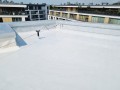 20210724_140745.jpg