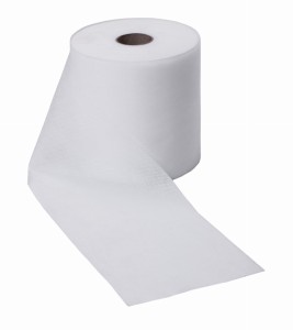 GEOTEXTILE 250 SZEROKOŚĆ 10 CM-50 MB